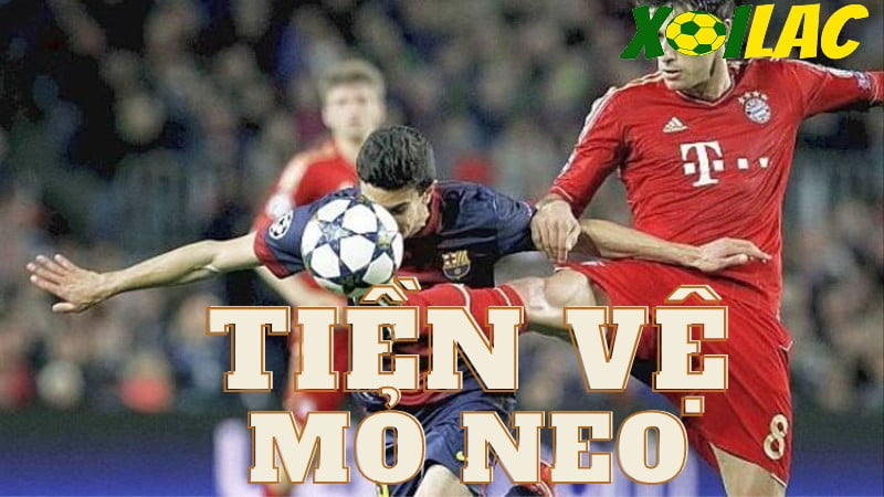 Tiền vệ mỏ neo là gì? Tiền vệ mỏ neo là gì?