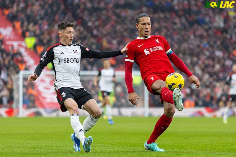 Fulham sẽ đối đầu với Liverpool tại vòng 4 FA Cup