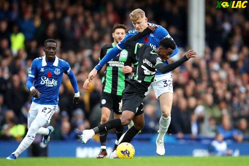 Brighton đối đầu Everton tại vòng 26 Ngoại Hạng Anh Brighton đối đầu Everton tại vòng 26 Ngoại Hạng Anh
