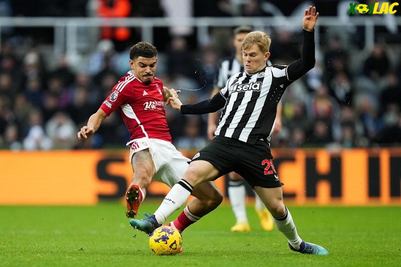 Nottingham Forest sẽ đối đầu với Newcastle tại vòng 24 Ngoại Hạng Anh Nottingham Forest sẽ đối đầu với Newcastle tại vòng 24 Ngoại Hạng Anh