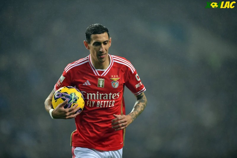 Benfica sẽ có màn tiếp đón Rangers tại lượt về vòng 1/8 Europa League Benfica sẽ có màn tiếp đón Rangers tại lượt về vòng 1/8 Europa League