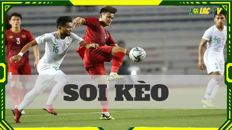 soi kèo Soi kèo - Phương pháp nhận định chính xác nhất