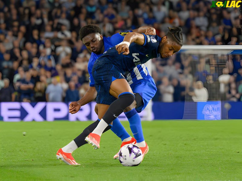 Chelsea sẽ tiếp đón Brighton trên sân nhà Chelsea sẽ tiếp đón Brighton trên sân nhà