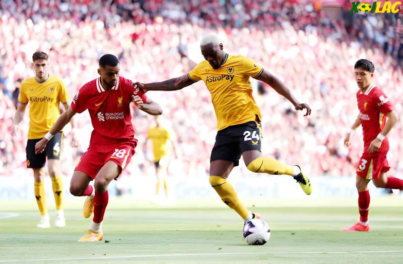 Wolves sẽ đối đầu với Liverpool trên sân nhà Wolves sẽ đối đầu với Liverpool trên sân nhà