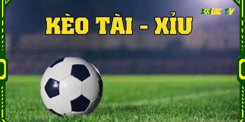 Cá cược cùng kèo tài xỉu Cá cược cùng kèo tài xỉu trong tỷ lệ kèo tv