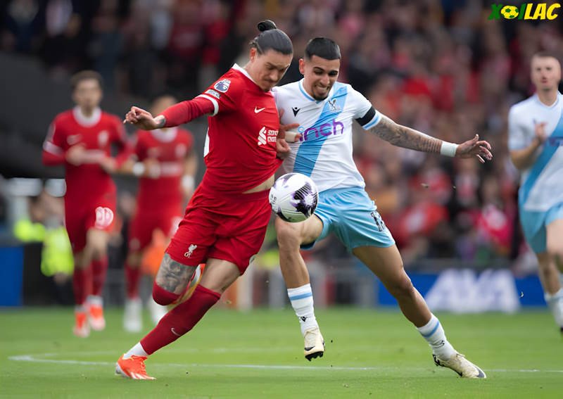 Crystal Palace sẽ có màn đối đầu với Liverpool tại vòng 6 Ngoại Hạng Anh Crystal Palace sẽ có màn đối đầu với Liverpool tại vòng 6 Ngoại Hạng Anh