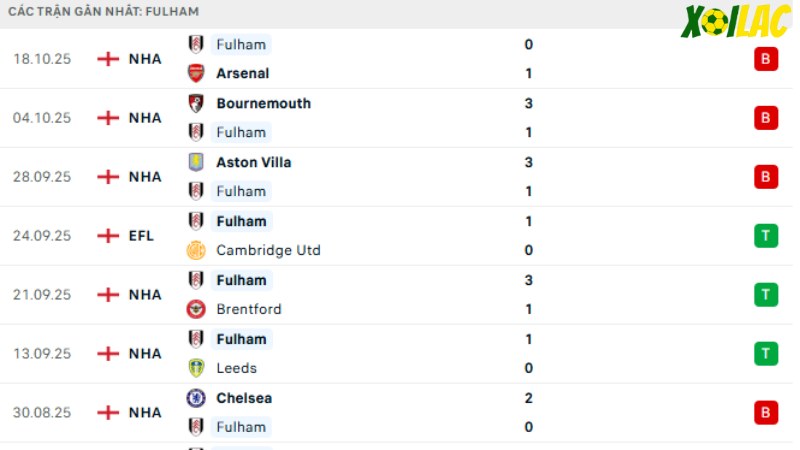 Newcastle với Fulham